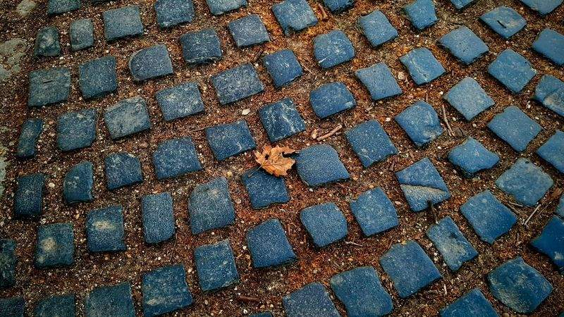 Pflegeleicht und stilvoll: Tipps zur Teppichpflege